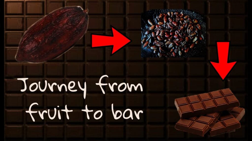 Journey from fruit to bar!!! Chocolate making!!!!