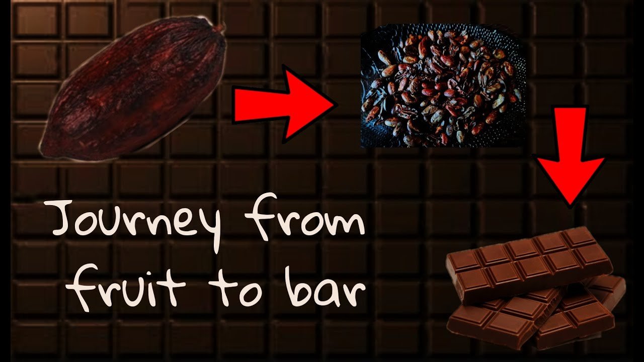 chocolate-making