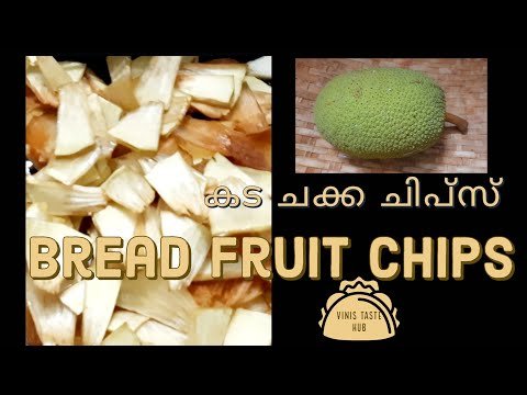 bread-fruit-chips