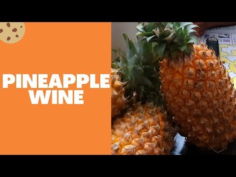 Pineapple Wine Recipe | പൈനാപ്പിൾ വൈൻ | How To make pineapple wine at home