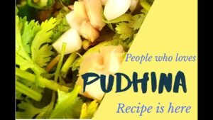 pudhina-chuttney