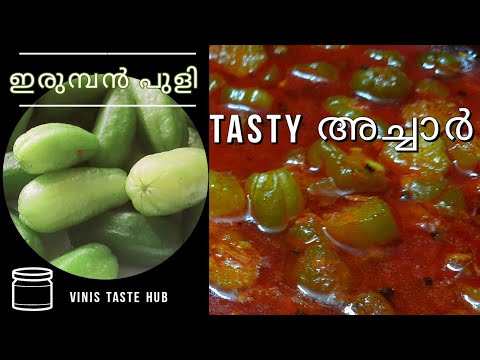 bilimbi