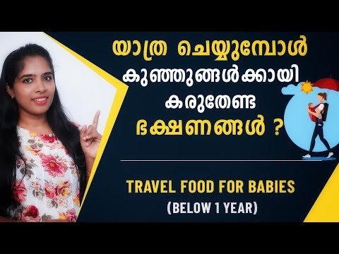 Travel food for babies Malayalam | Homemade travel food for baby | Best travel food for babies