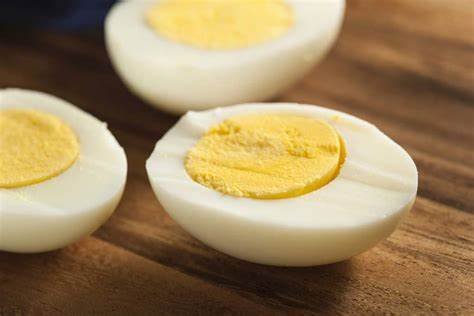 egg